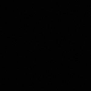 Meet your Posher, Dee